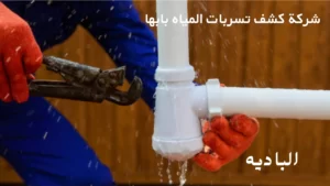 افضل شركه كشف تسربات المياه بابها