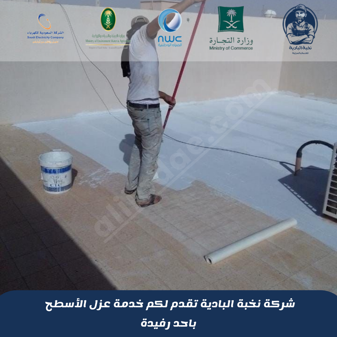 شركة عزل أسطح باحد رفيدة