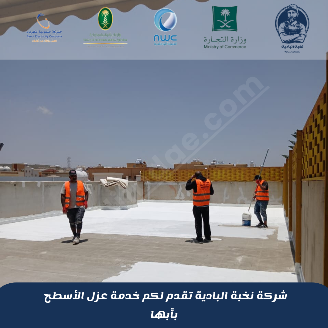شركة عزل أسطح بأبها 