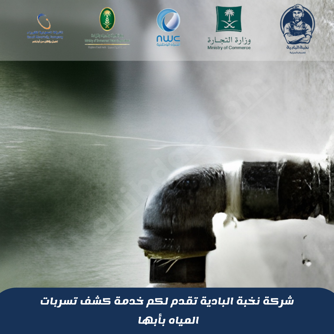 شركة كشف تسربات المياه بأبها