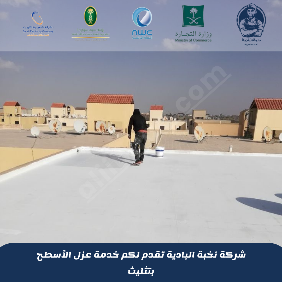 شركة عزل أسطح بتثليث
